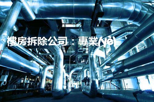樓房拆除公司：專業(yè)高效，安全拆除專家
